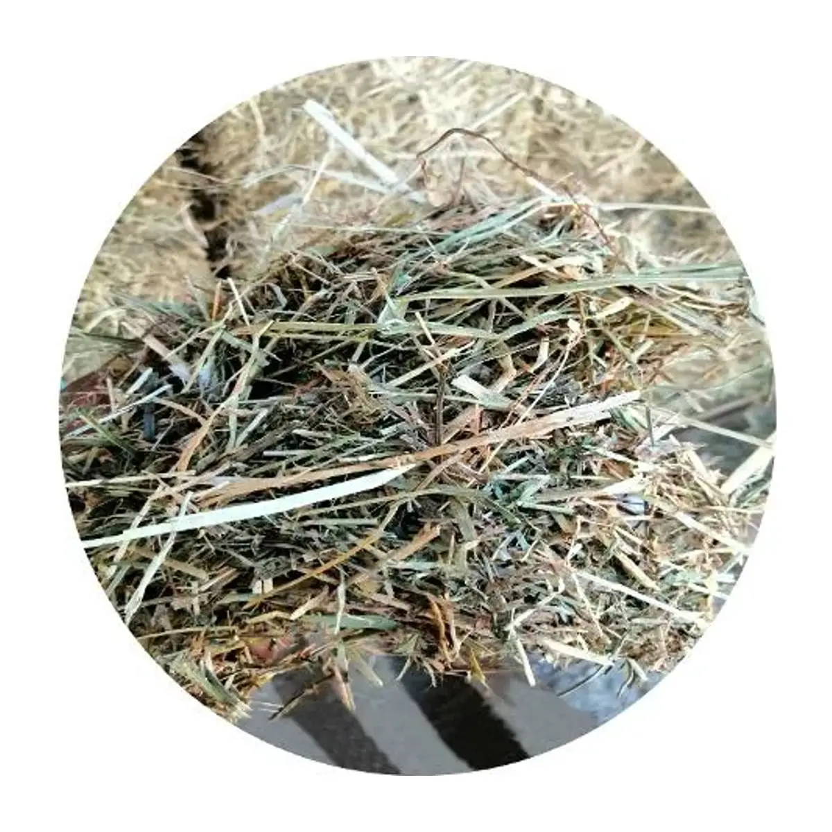Alfalfa and rye grass hay mix showing leaves and stems