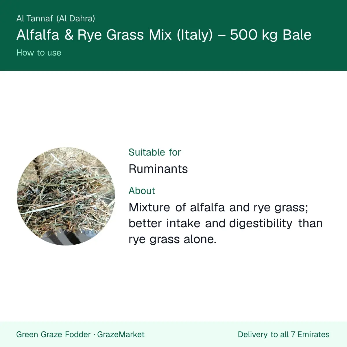 How to use alfalfa and rye grass mix: for ruminants, better intake and digestibility than rye grass alone