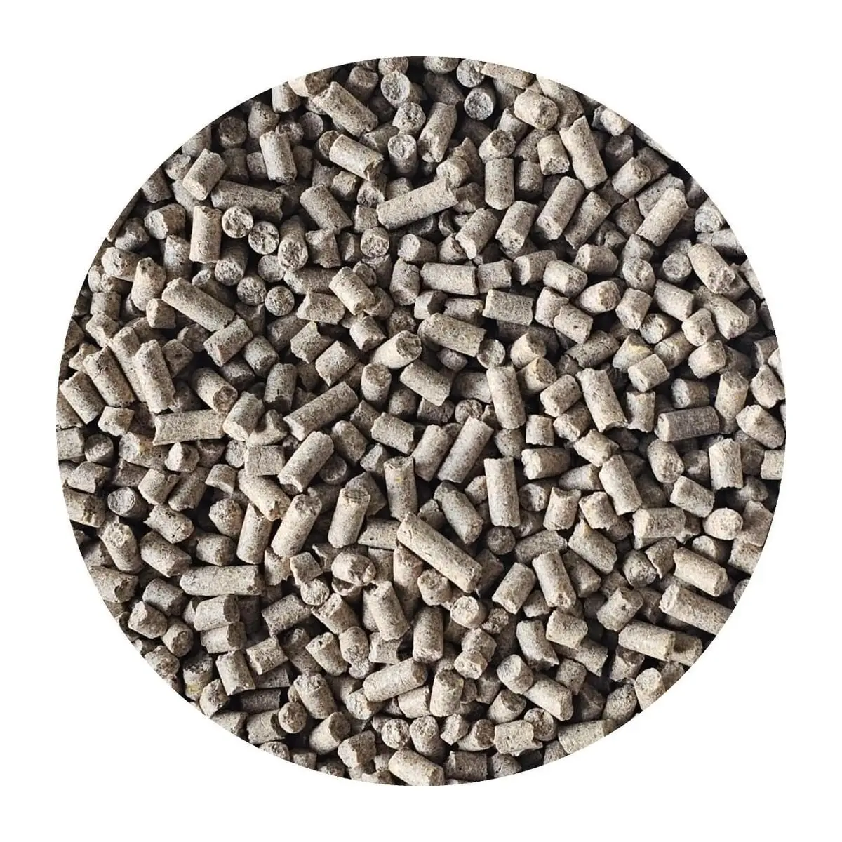 Close-up of beef starter feed pellets for calves
