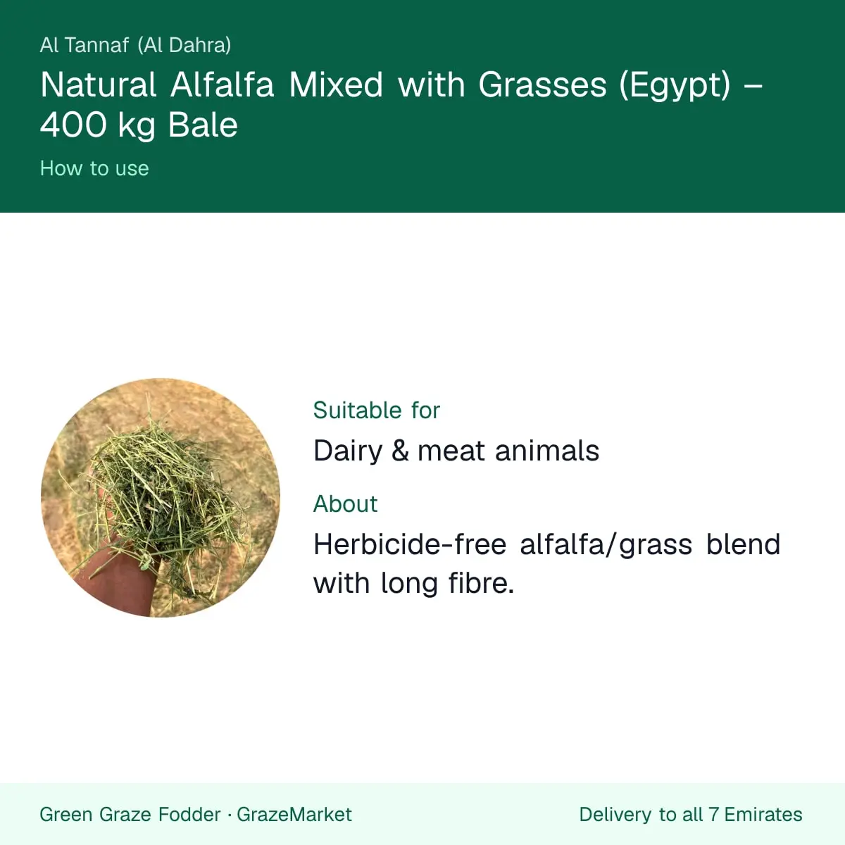 How to use alfalfa mixed with grasses: herbicide-free blend with long fibre for dairy and meat animals