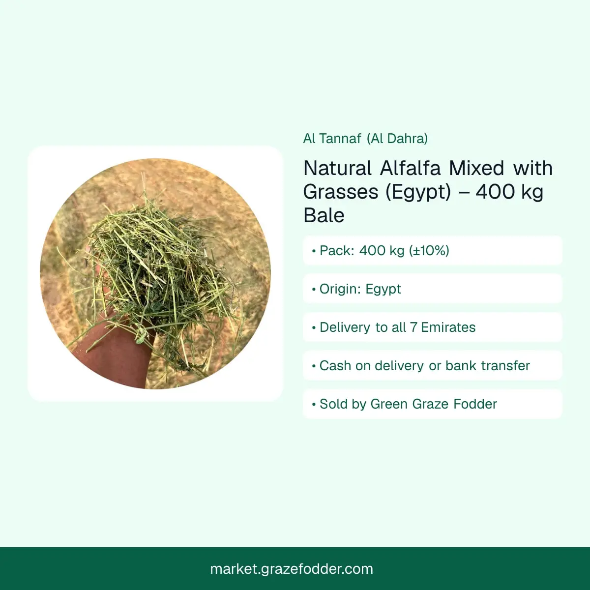 Natural alfalfa mixed with grasses (Egypt) 400 kg bale – product summary, delivered to all 7 Emirates
