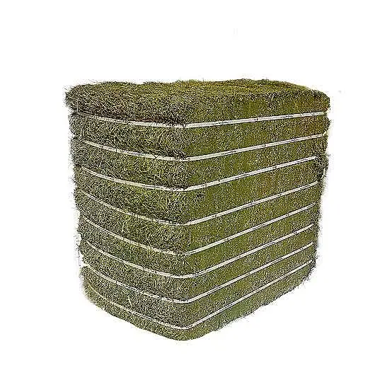 Strapped 500 kg bale of Italian rye grass hay