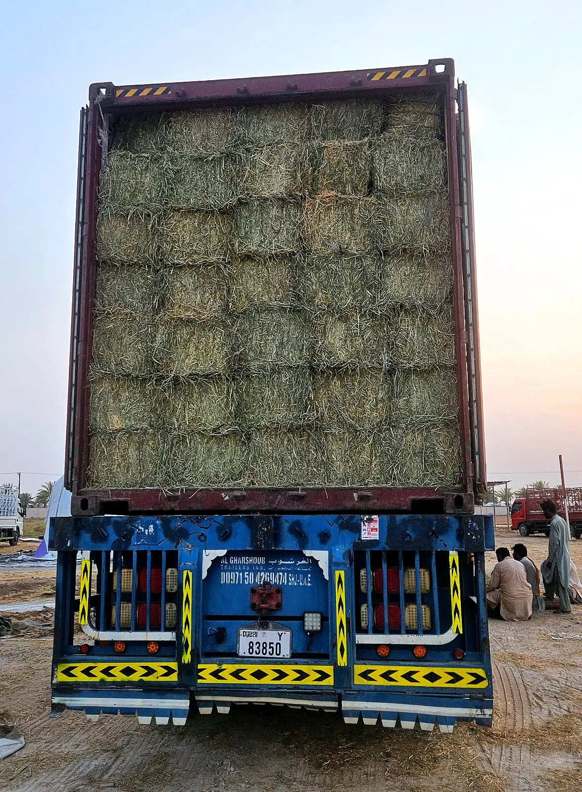 Container truck loaded with Rhodes grass hay bales