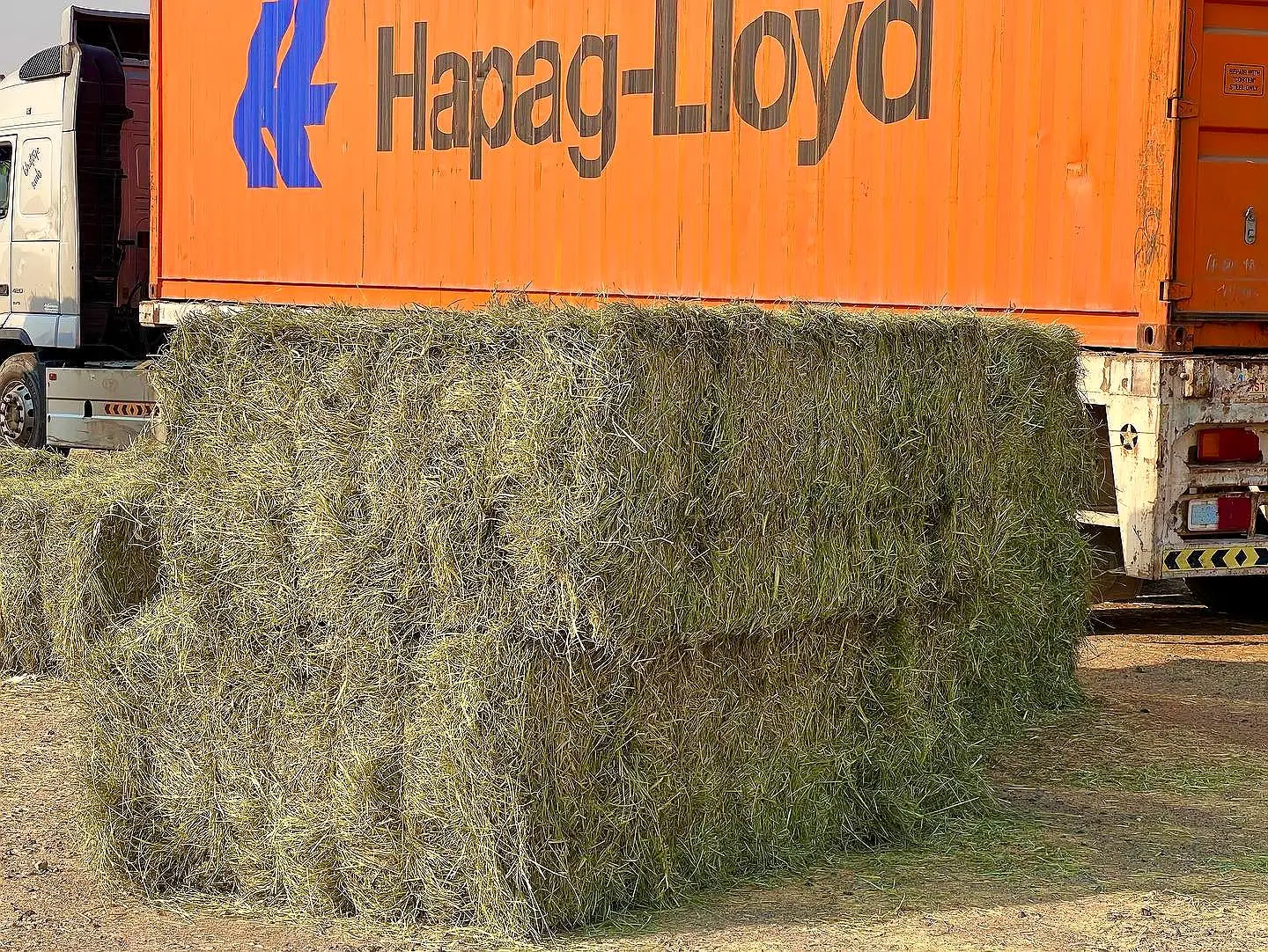 Rhodes grass hay bales from Pakistan beside a shipping container