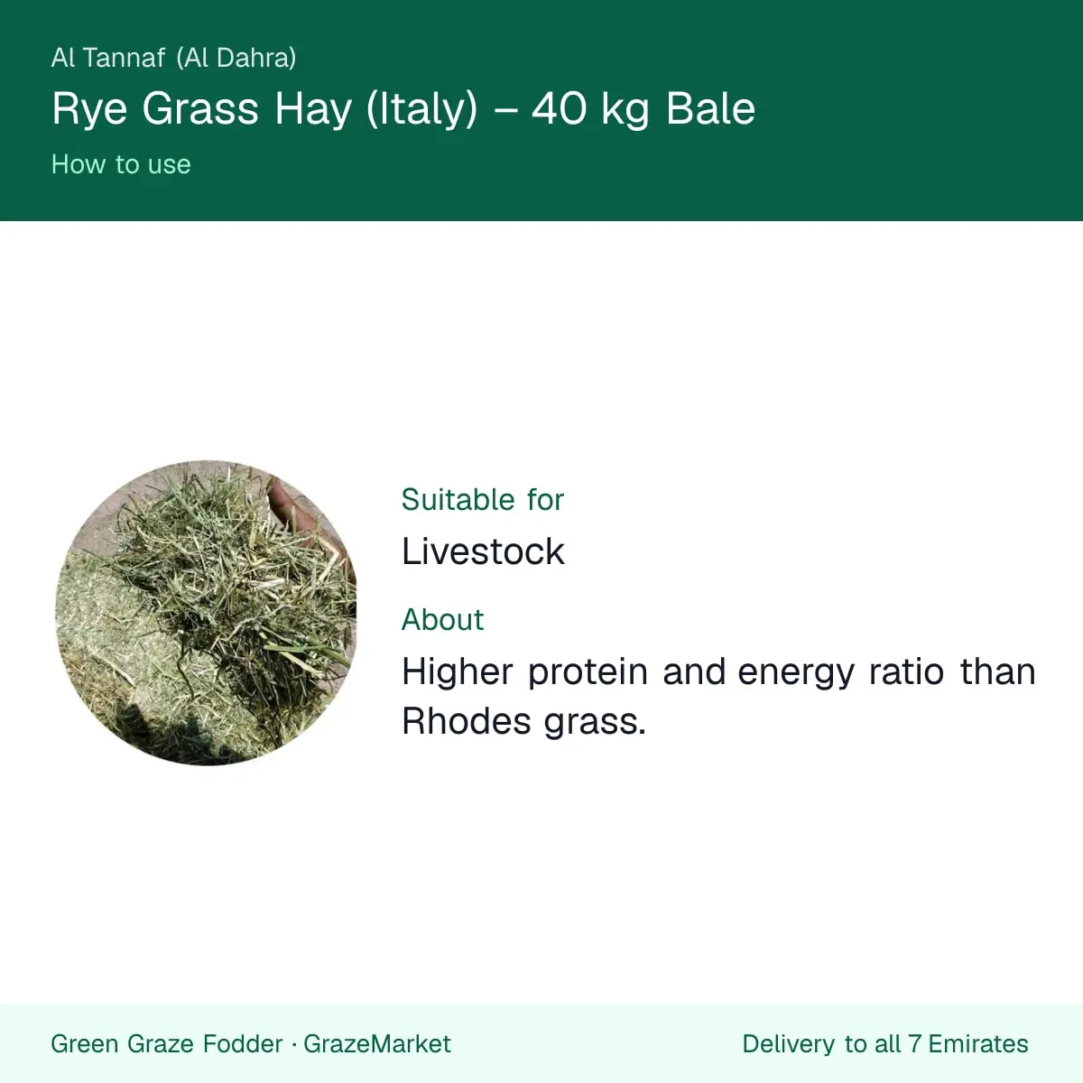 How to use Italian rye grass hay: higher protein and energy than Rhodes grass, for all livestock