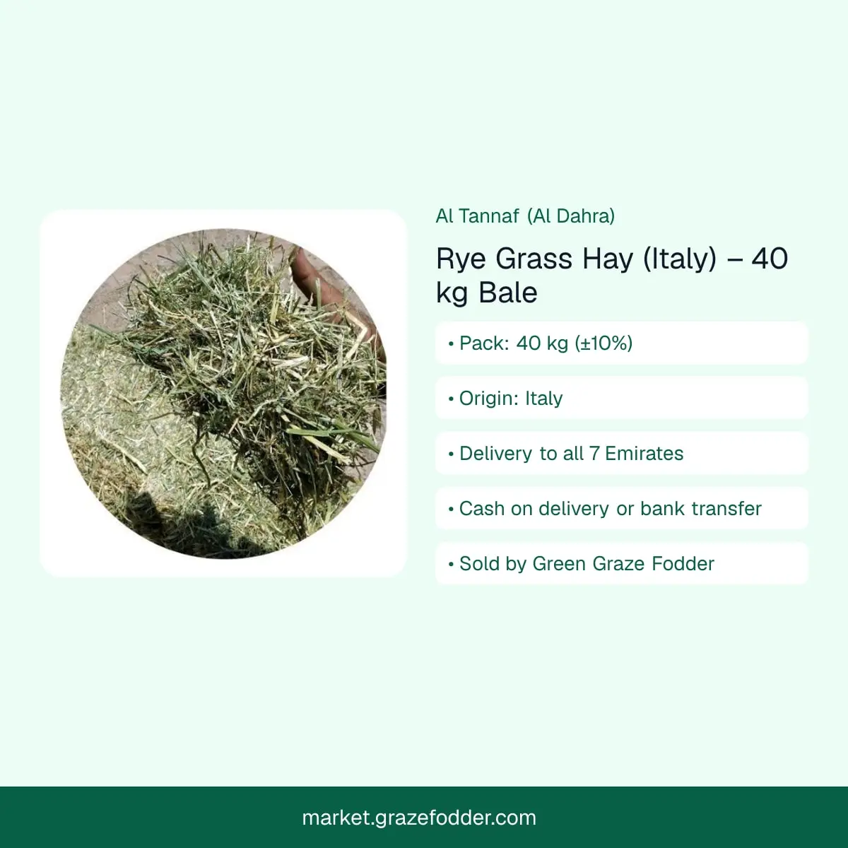 Rye grass hay (Italy) 40 kg bale – product summary, delivered to all 7 Emirates