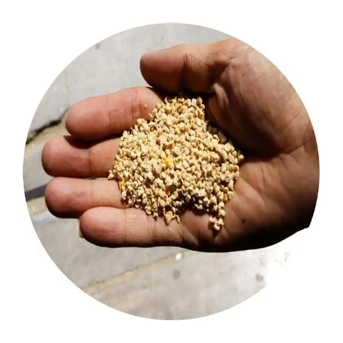 Super broiler starter crumbs 22% held in hand